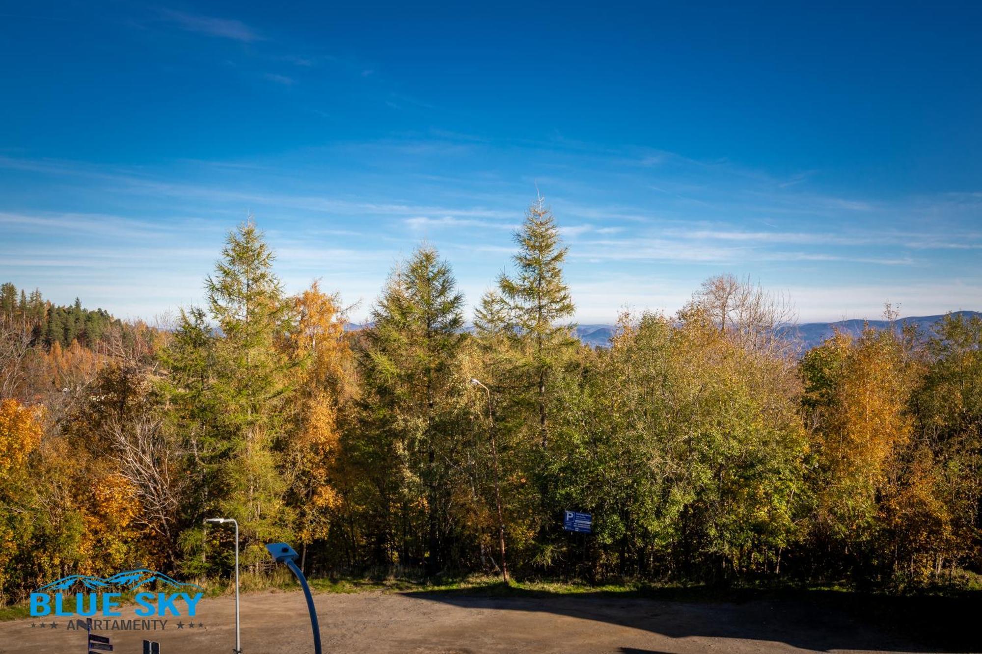 Apartamenty Bluesky - Karkonoska 13, Z Widokiem Na Gory, Blisko Szlakow I Wyciagow, W Zielonej Okolicy Karpacz Habitación foto